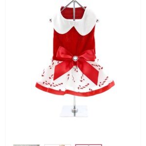 Holiday cane cane dog dress